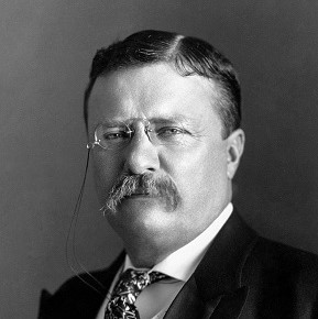 prezydent Theodore Roosevelt